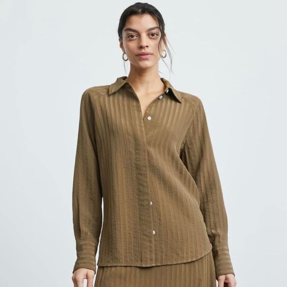 Everlane The City Stripe Shirt in Beech 10